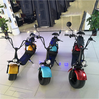 EEC COC a approuvé la batterie de vélo électrique de scooter de 1500w Scooters électriques de Citycoco 3000W pour des adultes