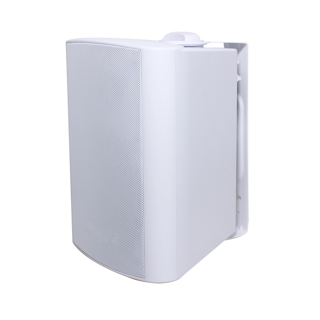 Outdoor and Indoor PA Speaker Water-proof 6 Inch Wall Mount Speaker With Built-in Class-D Amplifier TWS Bluetooth Speaker