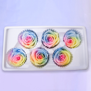 Hflora <span class=keywords><strong>Rosas</strong></span> Eternas Preservadas de Primera Calidad, <span class=keywords><strong>Rosas</strong></span> Eternas de Alta Calidad para el Día de San Valentín, Caja Cuadrada de 5-6 cm - Product Image 6