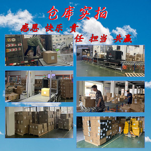 บริการขนส่งสินค้าทางทะเลแบบ LCL และ FCL ระหว่างประเทศของ Zhanfei บริการเส้นทางมาตรฐานสหรัฐอเมริกา ลองเบช โฮโนลูลู - Product Image 5