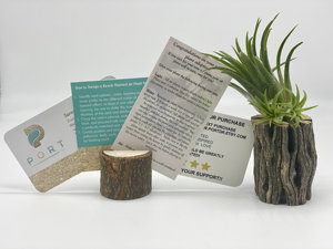 Ensemble de récipients en verre de terrarium de bureau soufflés à la main <span class=keywords><strong>pour</strong></span> plantes d'air <span class=keywords><strong>pour</strong></span> la maison et le jardin. - Product Image 2