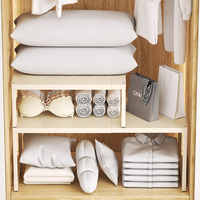 Organisateur de vêtements télescopique réglable en acier au carbone, gain de place, pour placard de salon moderne, sans perçage, extensible