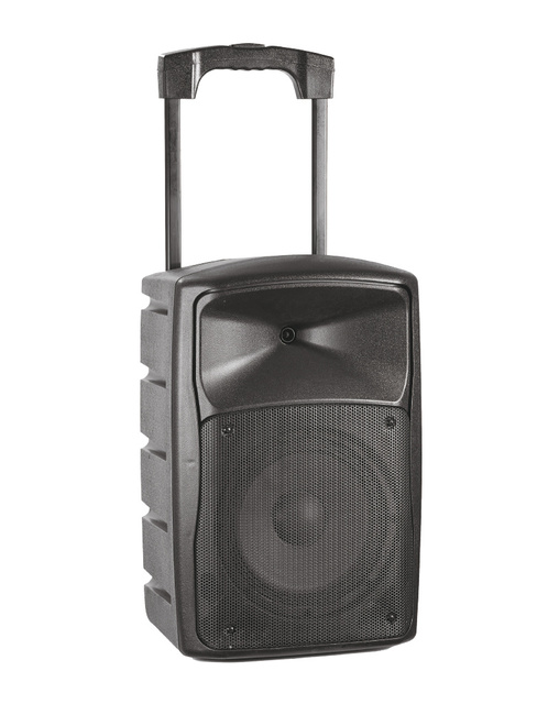 Factory Directly Price Speaker Cabinet Pro Audio Loud Speaker Multi-function Multi-scene 10'' Portable Speaker Box