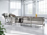 Automatische groentewasmachine met luchtbellen voor sla, kool, spinazie en wortelen