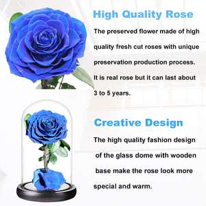 Natural China Factory The cute Hot Selling Long Stem Preserved Roses Rosa Bella y <span class=keywords><strong>La</strong></span> <span class=keywords><strong>Bestia</strong></span> - Product Image 4