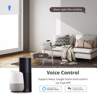 Moteur de stores roulants électriques Zemismart Tuya Zigbee Compatible avec les tubes de 17mm 25mm 28mm Alexa Google Home Voice Control