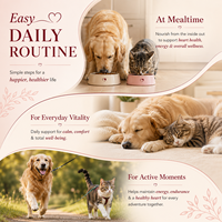 Capsules professionnelles de soins cardiovasculaires pour animaux de compagnie, formule riche en taurine pour la santé cardiaque des chiens et des chats, vitalité, longévité, 100 pièces