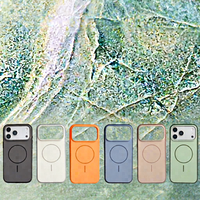 Étui de téléphone portable officiel IP17 bicolore 2-en-1 antichoc avec éléments de design Modèle 8434247050030