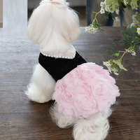 Robe de printemps-été pour chien, élégante, avec perles et motif rose