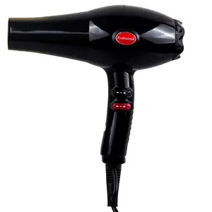 Good price fast dry hair Salon equipment 2000W Professional high speed AC Motor quick drying Hair Dryer Electric Blow Dryer