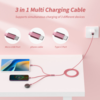 Câble de charge rapide 3 en 1 Cordon Micro USB Type C Câble de charge Multi Port Multiple Usb Ligne de charge
