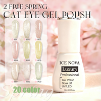 20 Warna 2 Gratis Spring Cat Eye Gel Polish Bebas TPO Bebas HEMA Pastel Magnetic Shimmer Gel untuk Seni Kuku Salon Alami