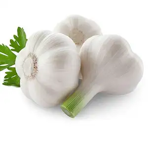 Artificial Garlic Powder Flavor