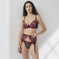 Ensemble soutien-gorge et culotte brodés sexy à taille haute pour usage quotidien, avec armatures personnalisées et dentelle transparente, vente en gros RTS