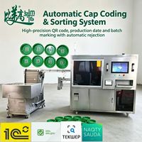 Machine de marquage laser automatique pour codes QR, marquage haute précision et traçabilité complète des produits, capture de données industrielle en ligne