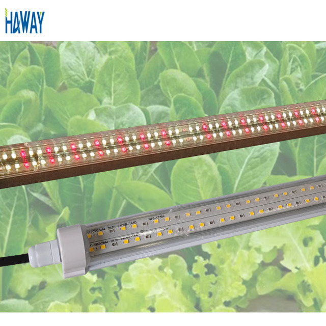 4FT 2FT T8 18W 36W 50W 60W Full Spectrum Red IR LED Grow Light Tube for Indoor Plant Hydroponics Seedlings Vegs Greenhouse