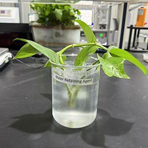 Solution pour les Jardiniers <span class=keywords><strong>Paresseux</strong></span> : Agent de Rétention d'Eau Haute Technologie Maenam - Product Image 5