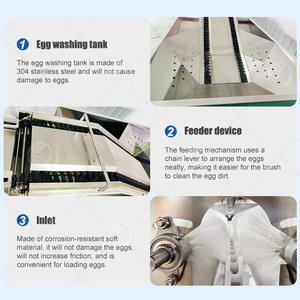 Máquina eléctrica de lavado de huevos ORME, línea automática de limpieza de huevos, máquina de limpieza y secado de huevos de pollo - Product Image 5
