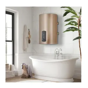 30L 50L 80L 100L Golden Supplier Elektrischer Küchen-Warmwasser bereiter Elektrischer Warmwasser speicher Heizkessel