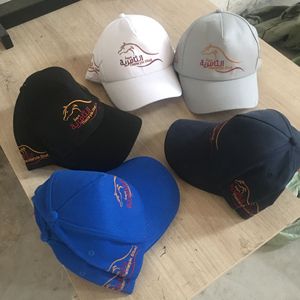 Promotional Custom Baseball Cap Embroidered Baseball Cap Hats