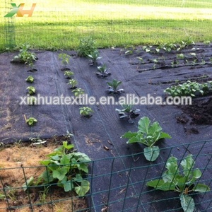 Tissu non tissé agricole non tissé pour protéger les cultures contre les mauvaises herbes, tapis d'herbe non tissé en polypropylène blanc - Product Image 2