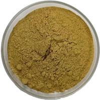 Extrait de Gynostemma Pentaphyllum de haute qualité, 80% de saponines de Gynostemma en poudre