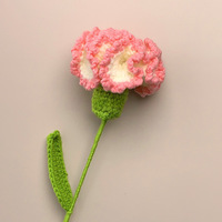 Bouquet de carnations créatives faites à la main, fleurs au crochet finies, aiguilles à crocheter, fleurs tissées en fil, style moderne