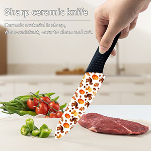 Entrega Rápida, 4 Juegos de Cuchillos de Chef con Hoja de Cerámica, Mango de Plástico, Precio de Fábrica, Envío Gratis, Tienda de Comercio Electrónico Shopify - Product Image 2