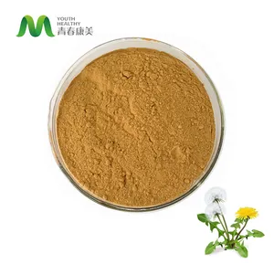 Proveedor Chino orgánico de extracto de hierbas 3% Flavone de diente de león polvo de extracto de raíz de