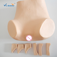 Modèle de ponction du fornice postérieur / Formation aux compétences en gynécologie, Anatomie précise + Sensation réaliste, Retour d'information correct sur la ponction