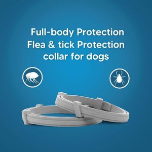 Vendedor caliente Control de plagas Collar de <span class=keywords><strong>pulgas</strong></span> y garrapatas <span class=keywords><strong>para</strong></span> mascotas 8 Prevención Collar de <span class=keywords><strong>pulgas</strong></span> y garrapatas de tamaño ajustable <span class=keywords><strong>para</strong></span> perros y gatos - Product Image 3
