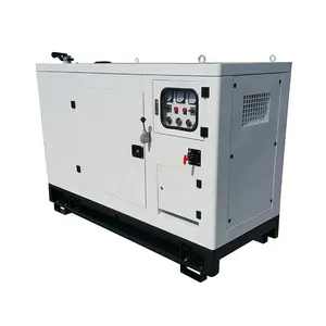 Consegna rapida garanzia globale generatore diesel silenzioso 6kw