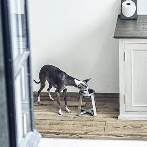 Eco-Friendly Large Ceramic <b>Bowl</b> with <b>Raised</b> Rack Durable Pet Supply for <b>Cat</b> and Dog Good for Feed Water and Food Care - Product Image 3