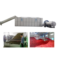 Machine de séchage d'épices au piment fort Pompe à chaleur Noix de macadamia Piment rouge Convoyeur à mailles Machine de séchage industrielle continue