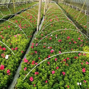 Tige en fibre de verre blanche de qualité industrielle haute résistance avec surface lisse et protection anti-UV - Product Image 5