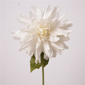 Vente en gros de plantes à fleurs de <span class=keywords><strong>dahlia</strong></span> blanc Nouvelle grande tête artificielle en PU Real Touch pour la maison de mariage Saint Valentin Pâques - Product Image 4