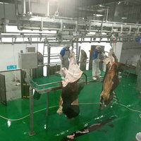 Équipement d'abattoir de Cow-boy, équipement d'abattoir de boucherie du nouveauté