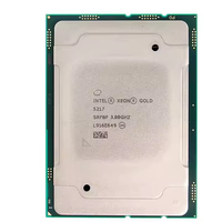 SRFBF 5217 Terlaris untuk Prosesor Xeon Gold 11M Cache 3.00 GHz 8 Core 16 Thread 115W Server Berkinerja Tinggi