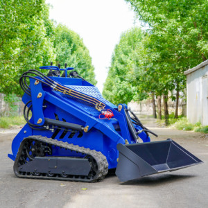 Maquinaria de movimiento de tierras: Minicargadora compacta de alta eficiencia con motor de gasolina EPA y agente de ventas. - Product Image 3