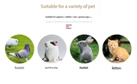 Bol de nidification d'oeufs de pigeon Nid d'herbe fait à la main Conception anti-renversement solide pour le matériel de nidification de grain de paille de blé de ferme de volaille