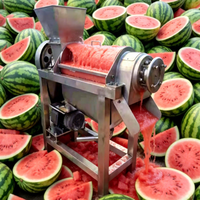 Commerciële kokosmelkpers schroefpers sapcentrifuge passievrucht ananas appel watermeloen fruitsapverwerking