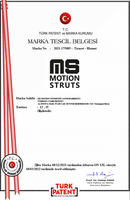 Vérin à gaz MotionStruts S18BJ-120-325, 325 mm, course de 120 mm, acier, usage industriel, pour toiture extérieure, tube de 18 mm, tige de 8 mm, fabriqué en Turquie