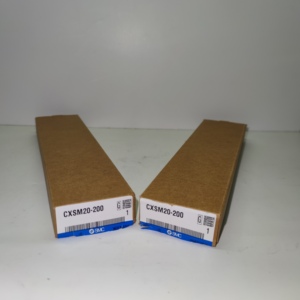   CXSM20-200 Cilindro Guía de Doble Varilla, Varilla Larga, Cilindro Guía CXS Nuevo y Original, Bienvenido a Ordenar CXSM20-20 - Product Image 3