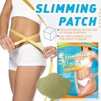 Patch Minceur au Navel à l'Absinthe pour Personnes Paresseuses, Extrait Naturel à Base de Plantes, Brûle les Graisses, Réduit le Graisse Abdominale, Vente Chaude
