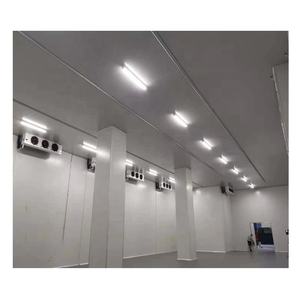 Fabrikant Solar Walk-In Koude Vis Opslag Vriezer Met Motor En Lager 20/40 Voeten Container Koude Ruimte Voor Compressor - Product Image 1