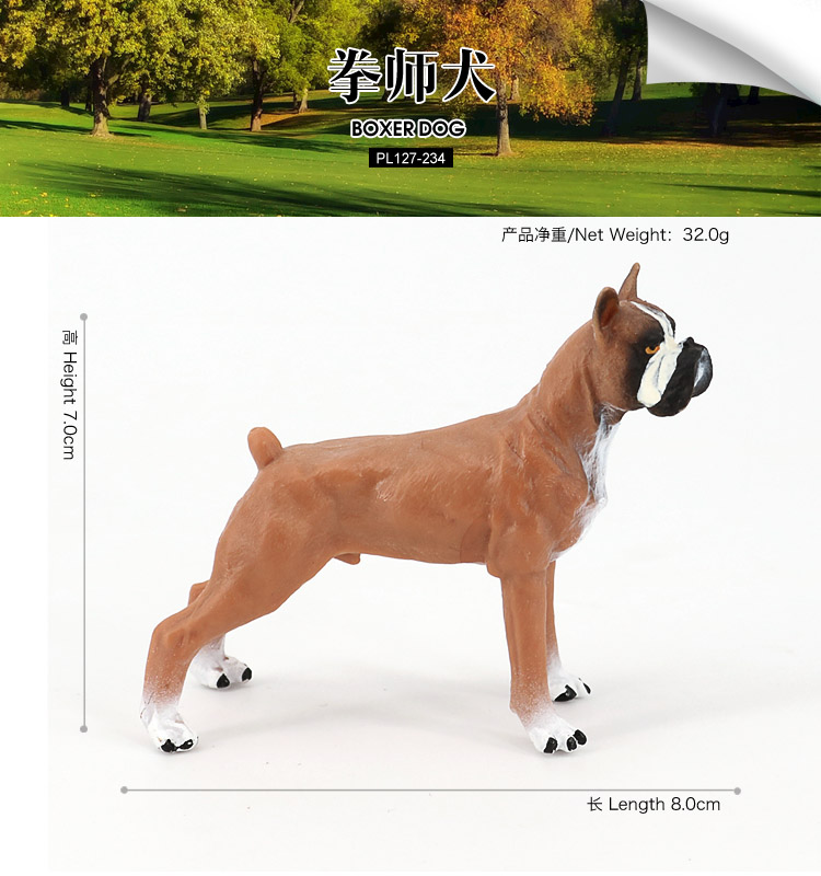234Perro boxeador