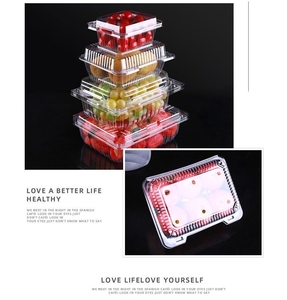 Nhà máy tùy chỉnh trái cây lưu trữ bao bì vỏ sò <span class=keywords><strong>container</strong></span> rõ ràng thân thiện với môi vỉ thực phẩm tươi cấp nhựa bé thực phẩm bánh hamburger - Product Image 4