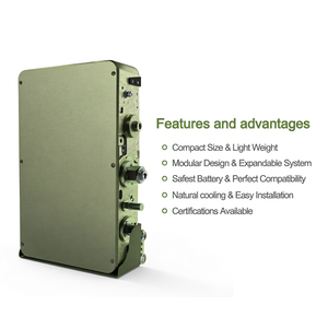 Dyness AU CEC Powerwall 10kwh batterie lifepo4 51.2v 200ah 6000 cycles système de stockage d'énergie solaire domestique batterie extérieure avec Solis - Product Image 3