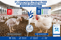 Prémélange Alimentaire Composé de Haute Qualité SAIK à 5% avec Acides Aminés et Vitamines de Qualité Alimentaire pour la Phase d'Engraissement des Poulets de Chair