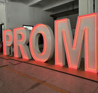 Lettres lumineuses LED personnalisables pour proposition de mariage et fête